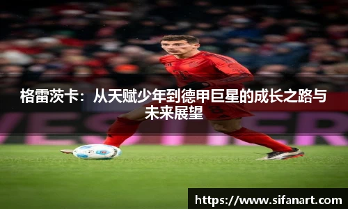 格雷茨卡：从天赋少年到德甲巨星的成长之路与未来展望